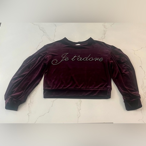 Misa Los Angeles Velvet Embroidered Je T’Adore Velvet Balloon Sleeve Sweatshirt - Picture 3 of 9